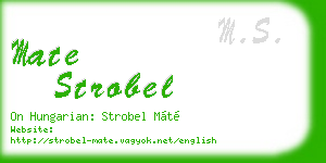 mate strobel business card